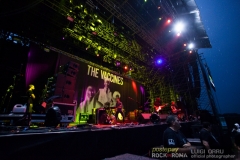 the vaccines live in Rome